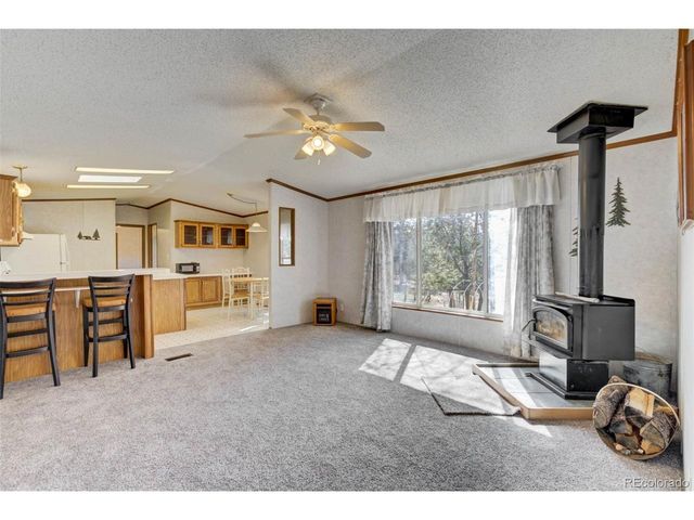 1360 Kiowa Rd, Florissant, CO 80816