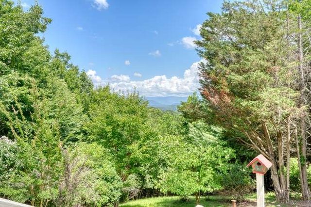 100 Sourwood Lane, Hayesville, NC 28904