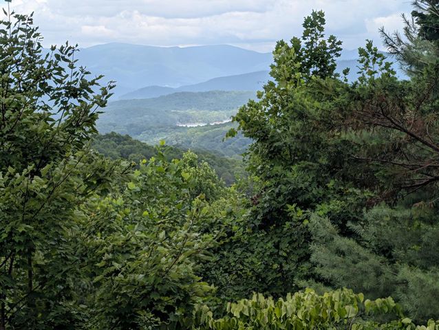 100 Sourwood Lane, Hayesville, NC 28904