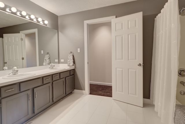 4177 Whitetail Court, Joliet, IL 60431