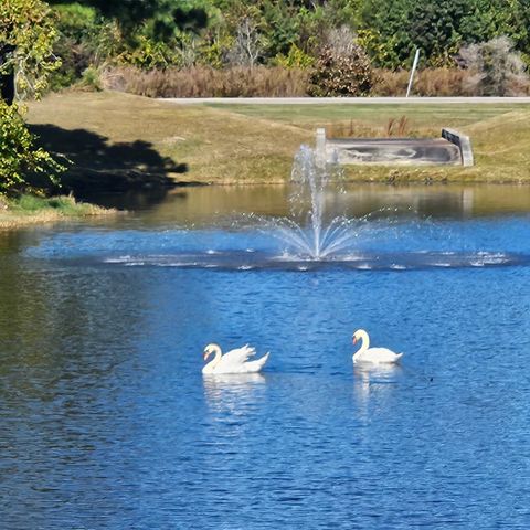 1303 Ashboro Ct., Myrtle Beach, SC 29579