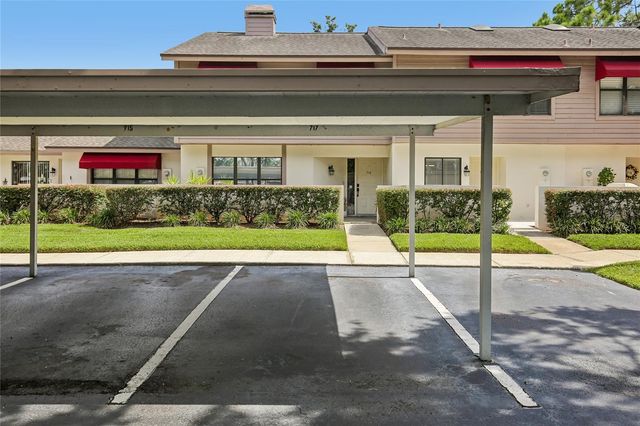717 OAK PARK PLACE, Brandon, FL 33511