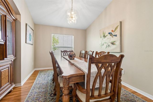 19308 SANDY SPRINGS CIRCLE, Lutz, FL 33558