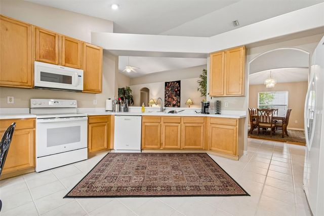 19308 SANDY SPRINGS CIRCLE, Lutz, FL 33558