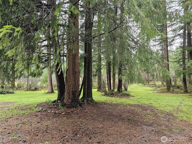 16727 Littlerock Road SW, Rochester, WA 98579