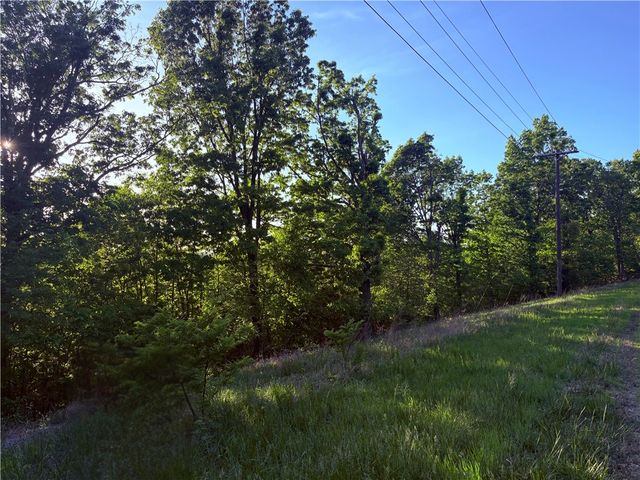 16 & 18 Summit Drive, Eureka Springs, AR 72631