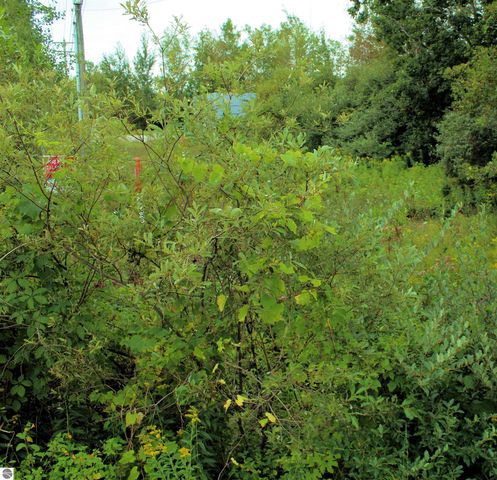 00 Cass Road, Traverse City, MI 49684