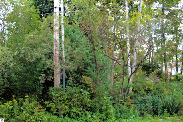 00 Cass Road, Traverse City, MI 49684