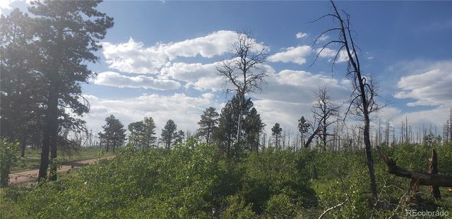 Lot 1406 Emery Loop, Fort Garland, CO 81133