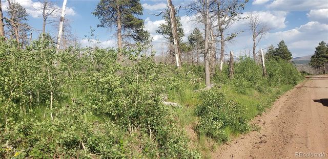 Lot 1406 Emery Loop, Fort Garland, CO 81133
