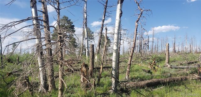 Lot 1406 Emery Loop, Fort Garland, CO 81133