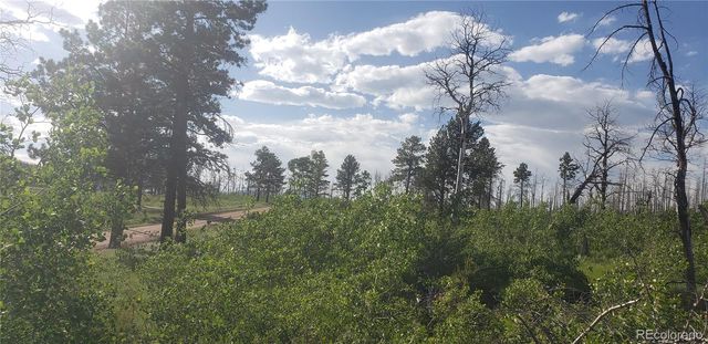 Lot 1406 Emery Loop, Fort Garland, CO 81133