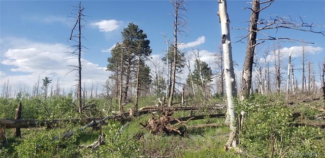 Lot 1406 Emery Loop, Fort Garland, CO 81133
