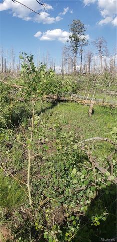 Lot 1406 Emery Loop, Fort Garland, CO 81133