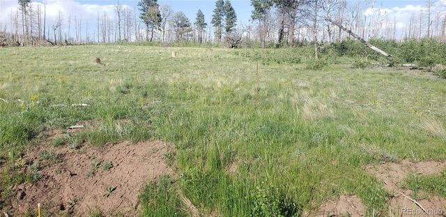 Lot 1406 Emery Loop, Fort Garland, CO 81133