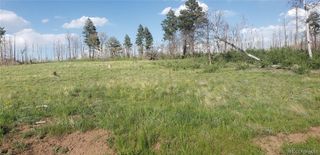 Lot 1406 Emery Loop, Fort Garland, CO 81133