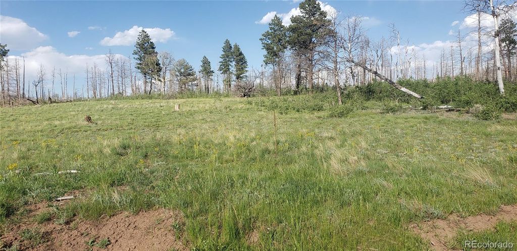 Lot 1406 Emery Loop, Fort Garland, CO 81133