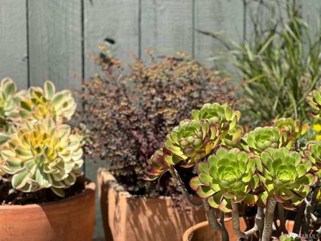 4545 18th Street, San Francisco, CA 94114