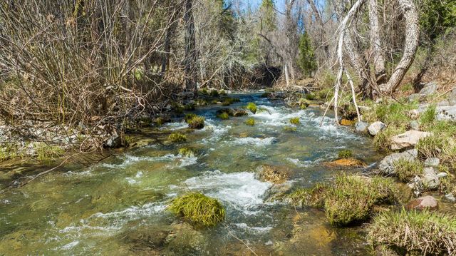 5603 Gold Mountain, Mountain Ranch, CA 95246