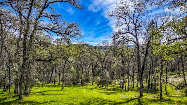 5603 Gold Mountain, Mountain Ranch, CA 95246