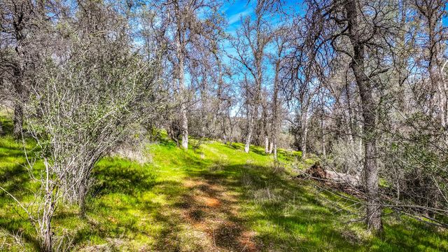 5603 Gold Mountain, Mountain Ranch, CA 95246