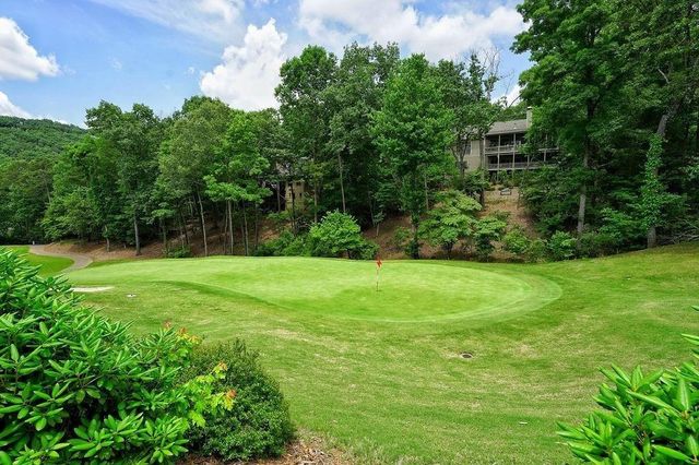 110 Sleeping Fawn Knoll, Big Canoe, GA 30143