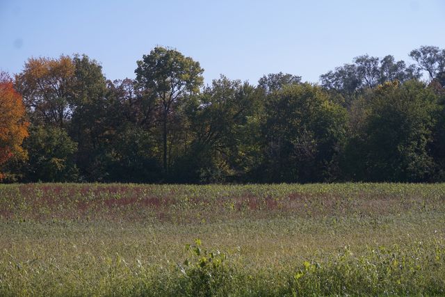 Sec8 W Eames Street, Channahon, IL 60410