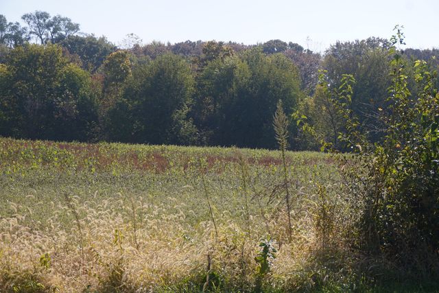 Sec8 W Eames Street, Channahon, IL 60410