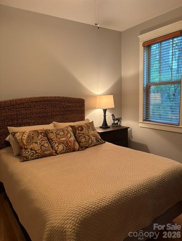 33 Gray Duster Circle, Biltmore Lake, NC 28715