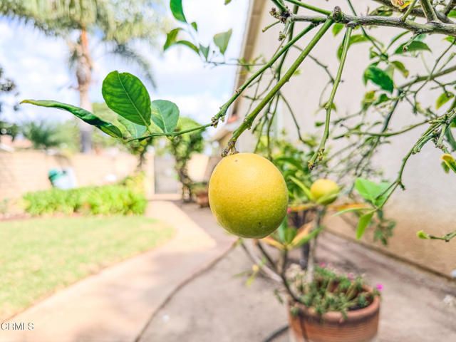 2300 Bayhill Court, Oxnard, CA 93036