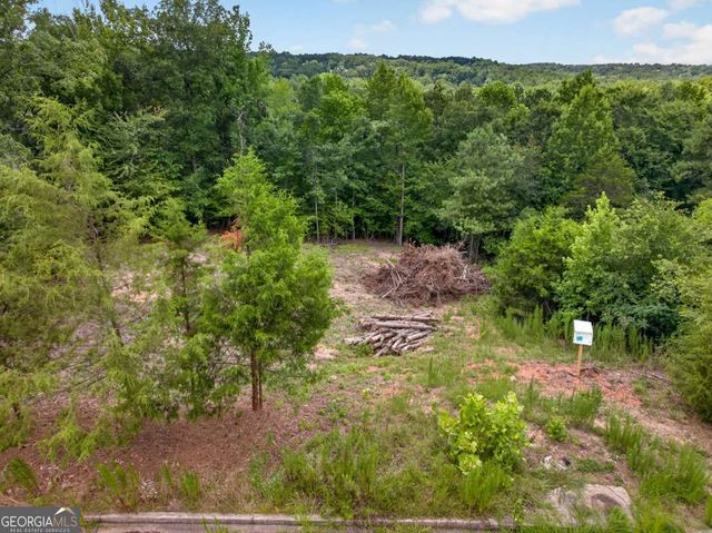 4024 Paulette Drive, Monroe, GA 30656