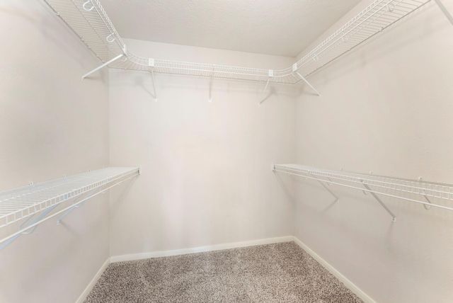 1302 Pine Trail, Tomball, TX 77375