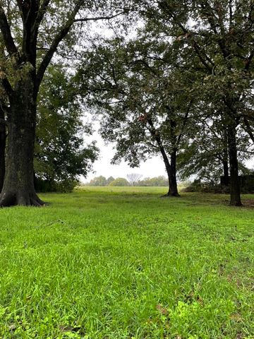 120 Glover St, Atwood, TN 38220