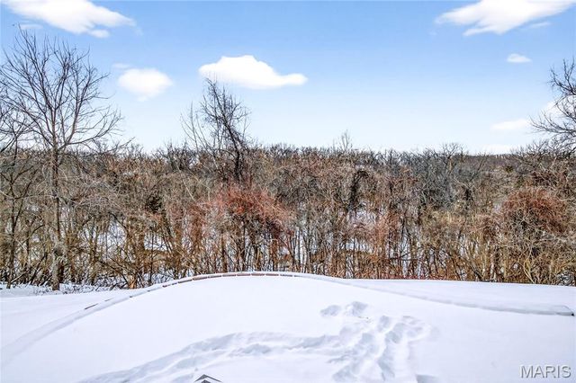 1302 Wellington View Place, Wildwood, MO 63005