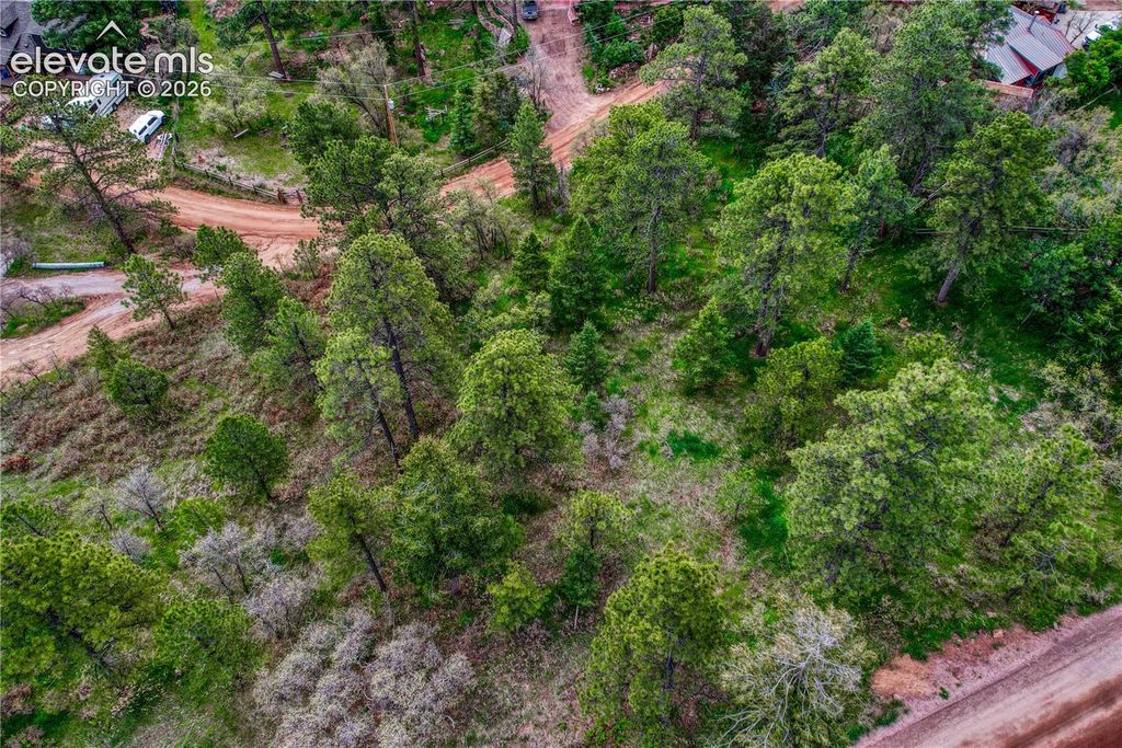 Buena Vista Avenue, Palmer Lake, CO 80133 — exterior
