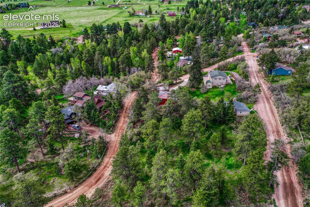 Buena Vista Avenue, Palmer Lake, CO 80133 — photo 3