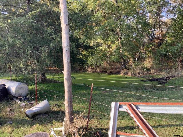 10479 CR 3508, Murchison, TX 75778