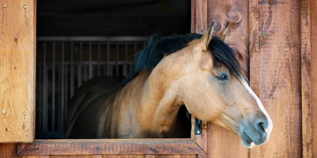 12614 Campsite Trail, Cypress, TX 77429