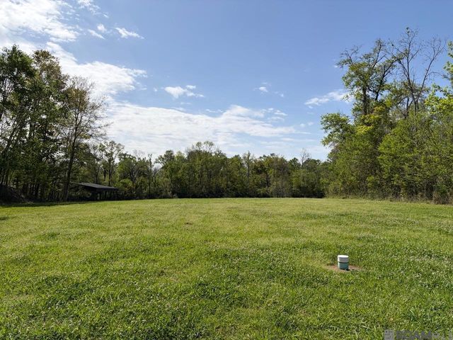 21967 Waterfront East Dr, Maurepas, LA 70449