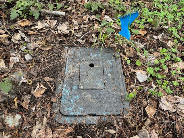 9999 Cedar Glen Lane, Port Angeles, WA 98362