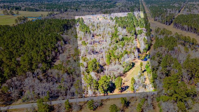 0 Shepherd Tram Drive, Shepherd, TX 77371