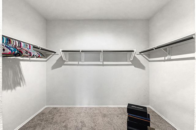 22803 Berthoud Trail, Spring, TX 77373