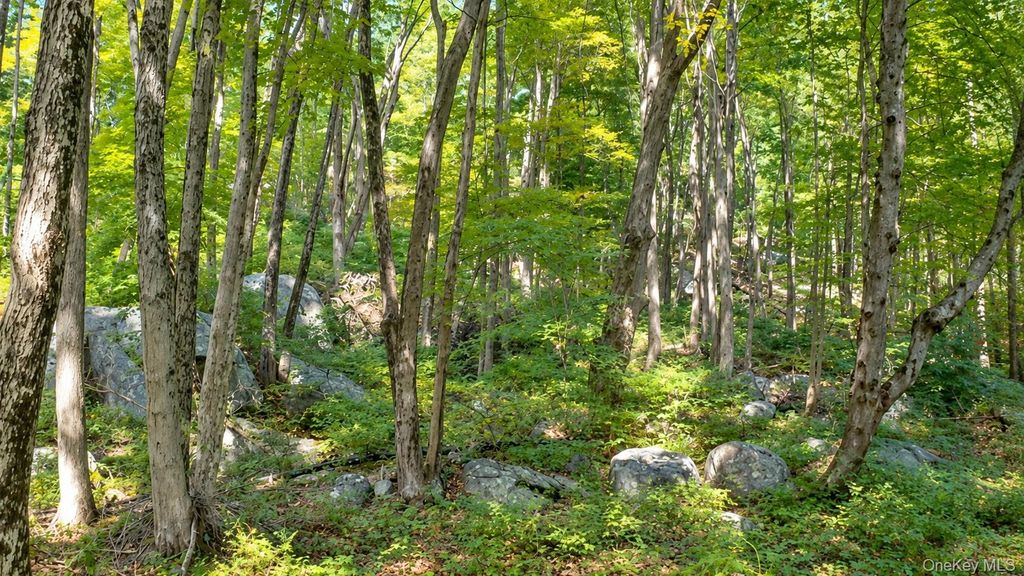 0 Richardsville Road, Putnam Valley, NY 10579 — photo 5