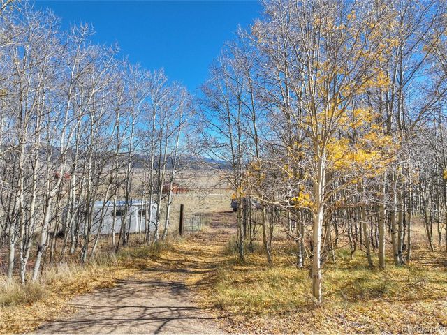 246 Mt Guyot Cir, Jefferson, CO 80456