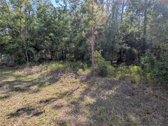 202ND CT, Dunnellon, FL 34431