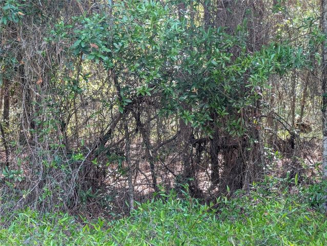 202ND CT, Dunnellon, FL 34431