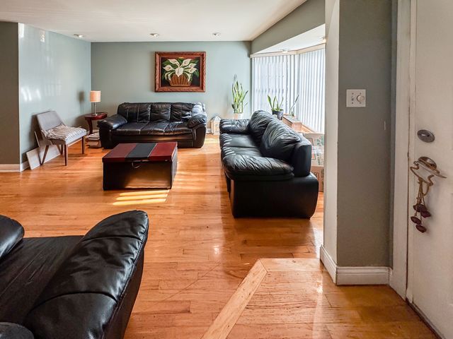 1703 S Ruble Street, Chicago, IL 60616