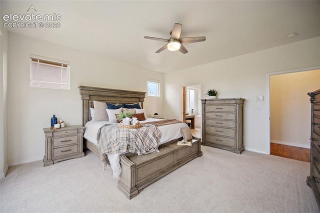 3135 Deergrass Place, Colorado Springs, CO 80920