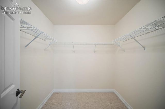 3135 Deergrass Place, Colorado Springs, CO 80920