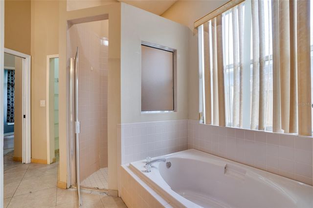 1769 WOOD BEND STREET, Tarpon Springs, FL 34689
